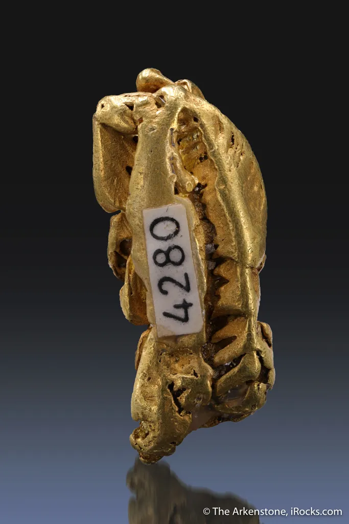 Gold - image 2