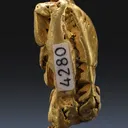 Gold - image 2