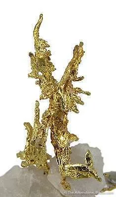 Gold - image 2