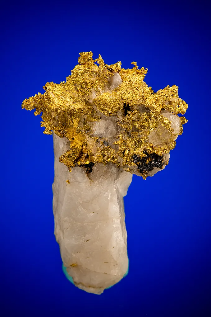 Gold image
