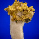 Gold - image 1