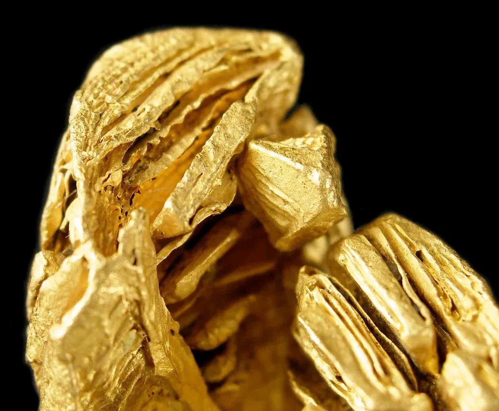 Gold - image 5