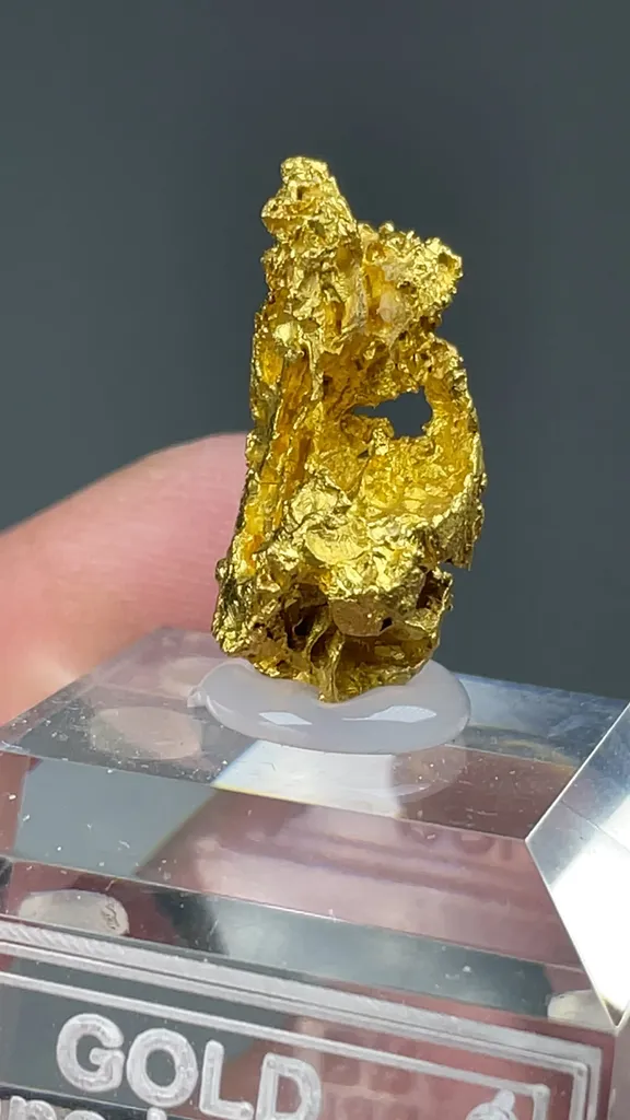 Gold - image 2