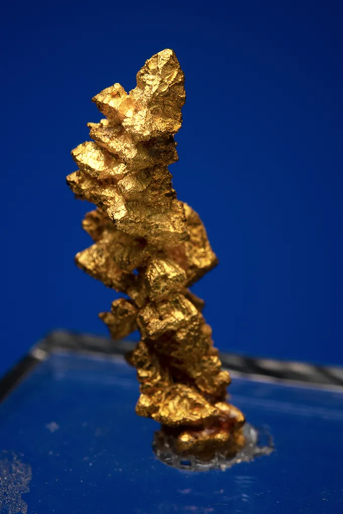 Gold - image 4