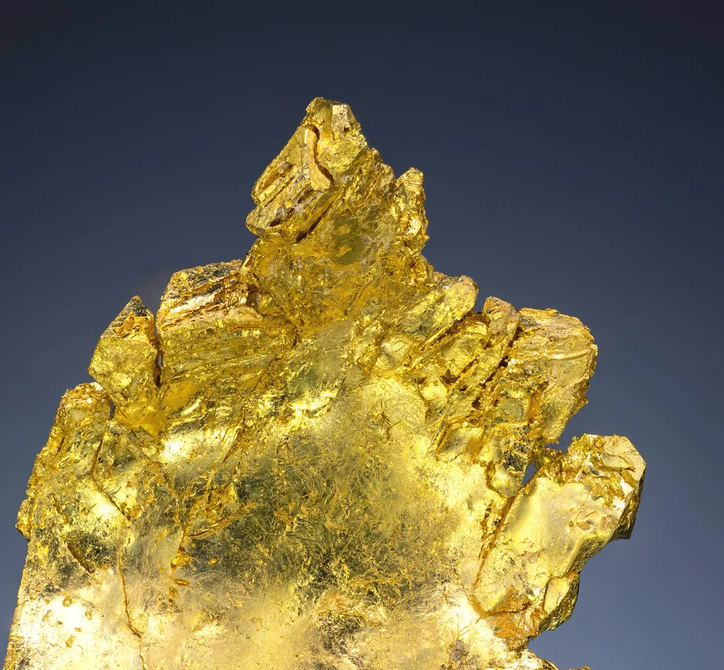 Gold - image 4