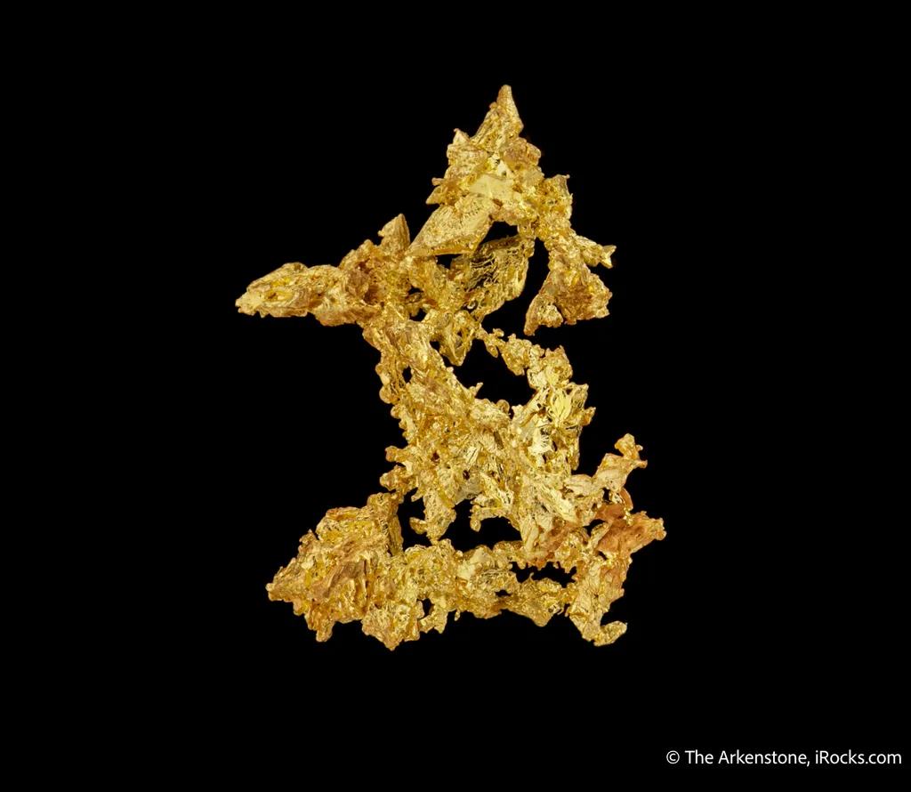 Gold - image 5