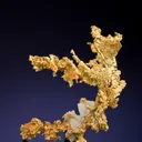 Gold - image 2