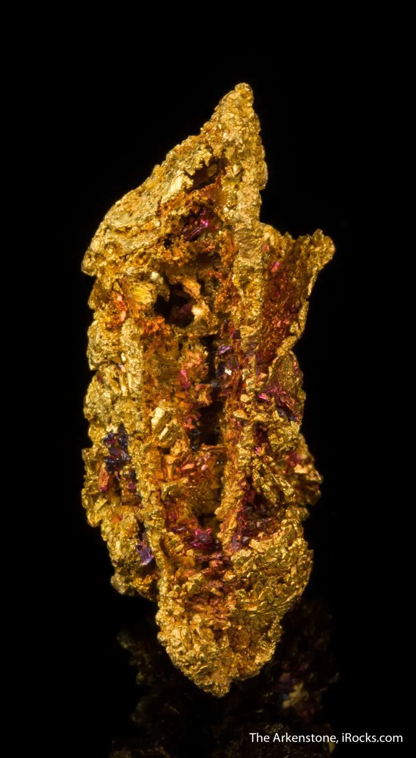 Gold - image 4
