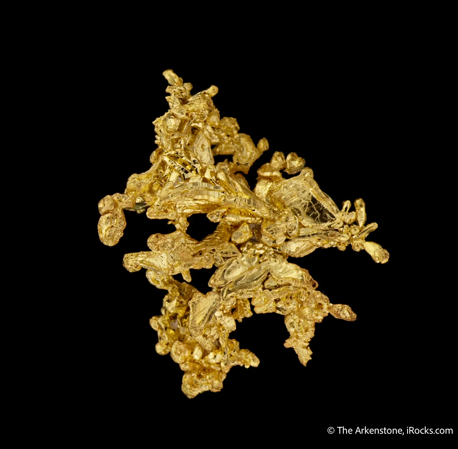 Gold - image 1
