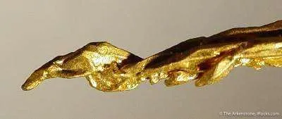 Gold - image 4
