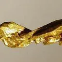 Gold - image 4