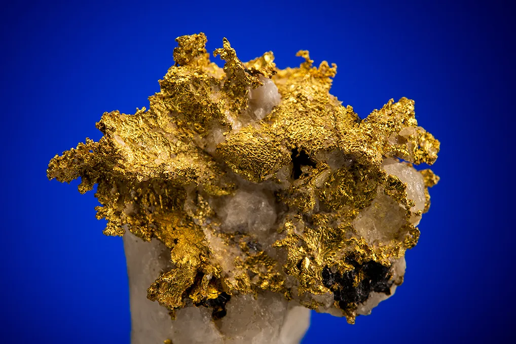 Gold - image 2