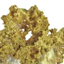 Gold - image 4