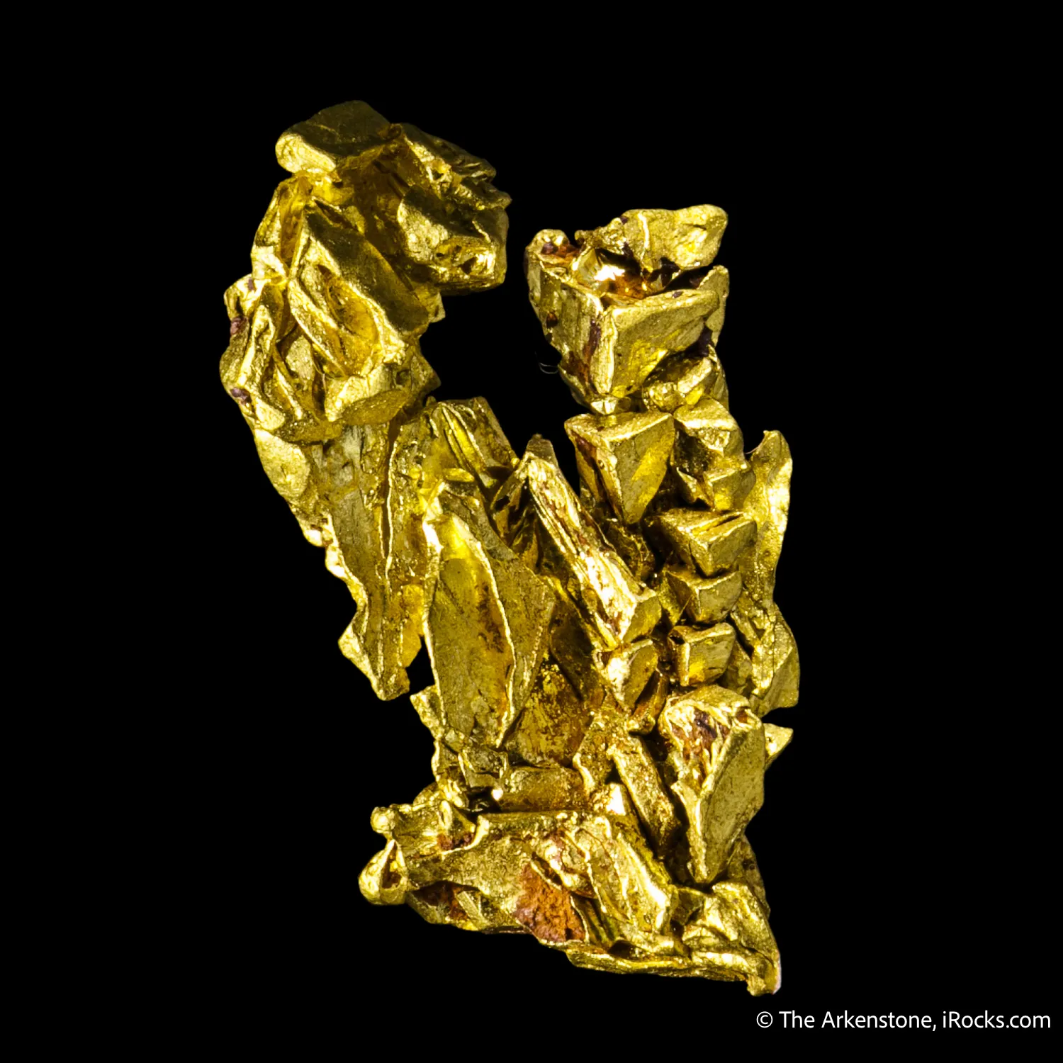 Gold - image 4