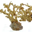 Gold - image 1