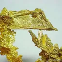 Gold (3 Cm Twinned Crystal!) - image 1