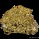 Gold - image 1