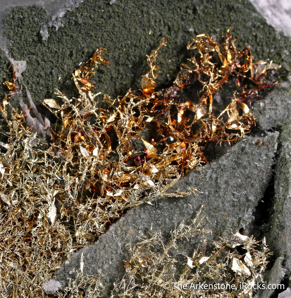Gold image