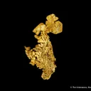 Gold - image 4