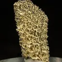 Gold - image 2