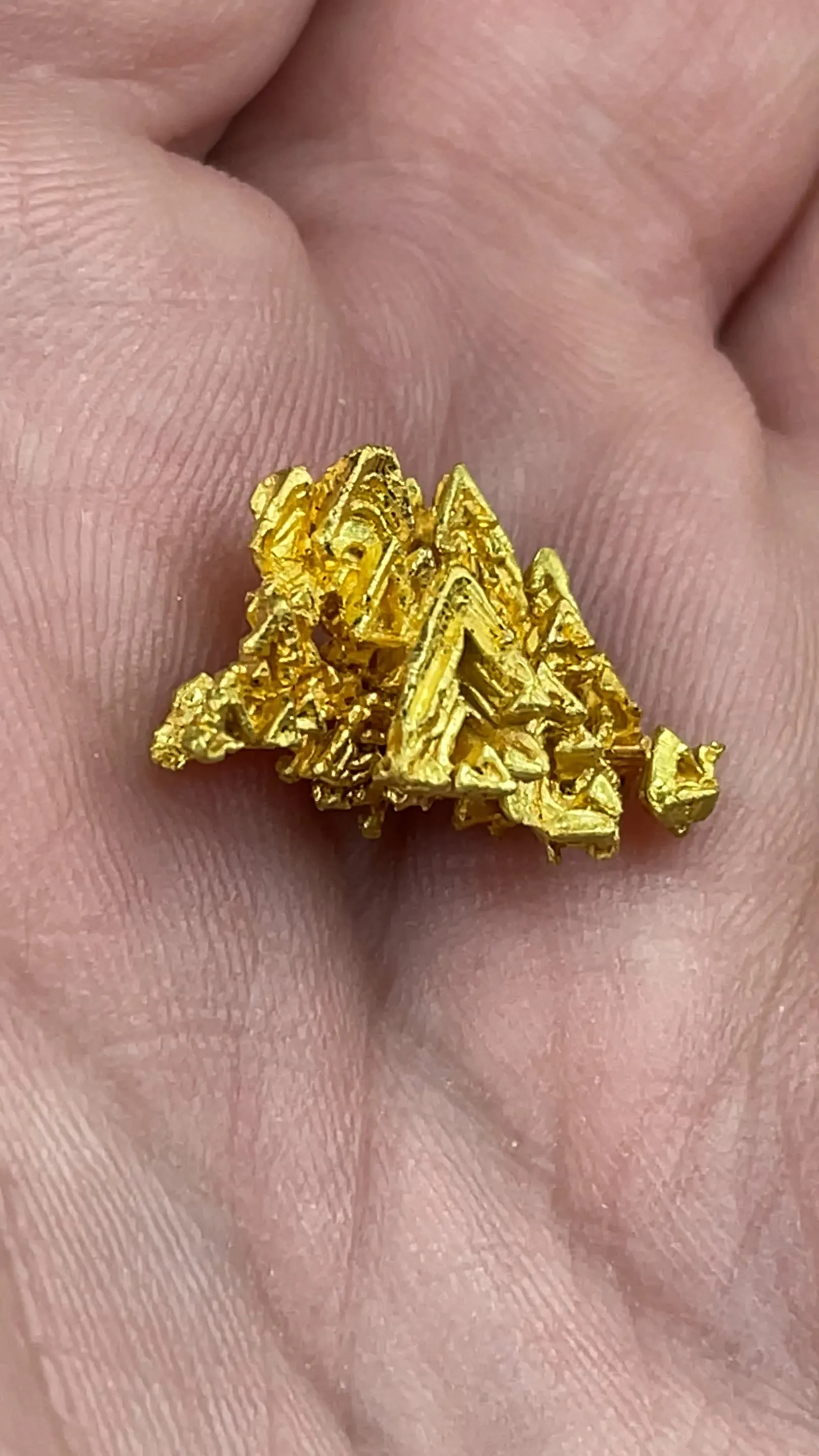Gold - image 2