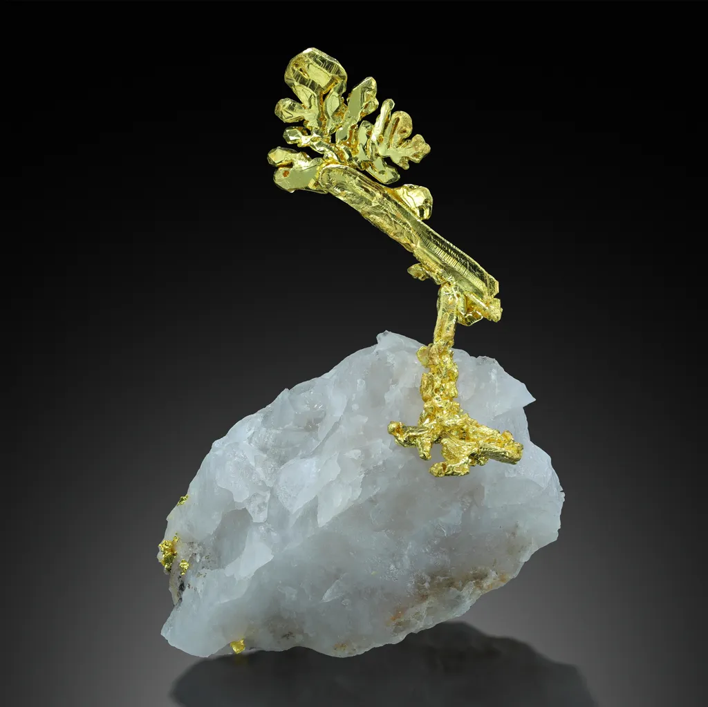 Gold image