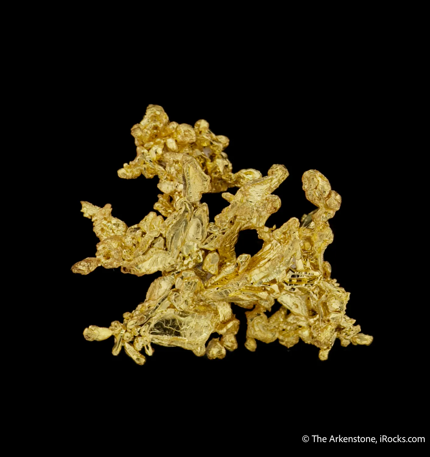 Gold - image 4
