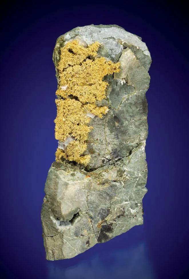 Gold image