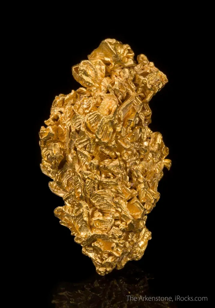 Gold - image 2