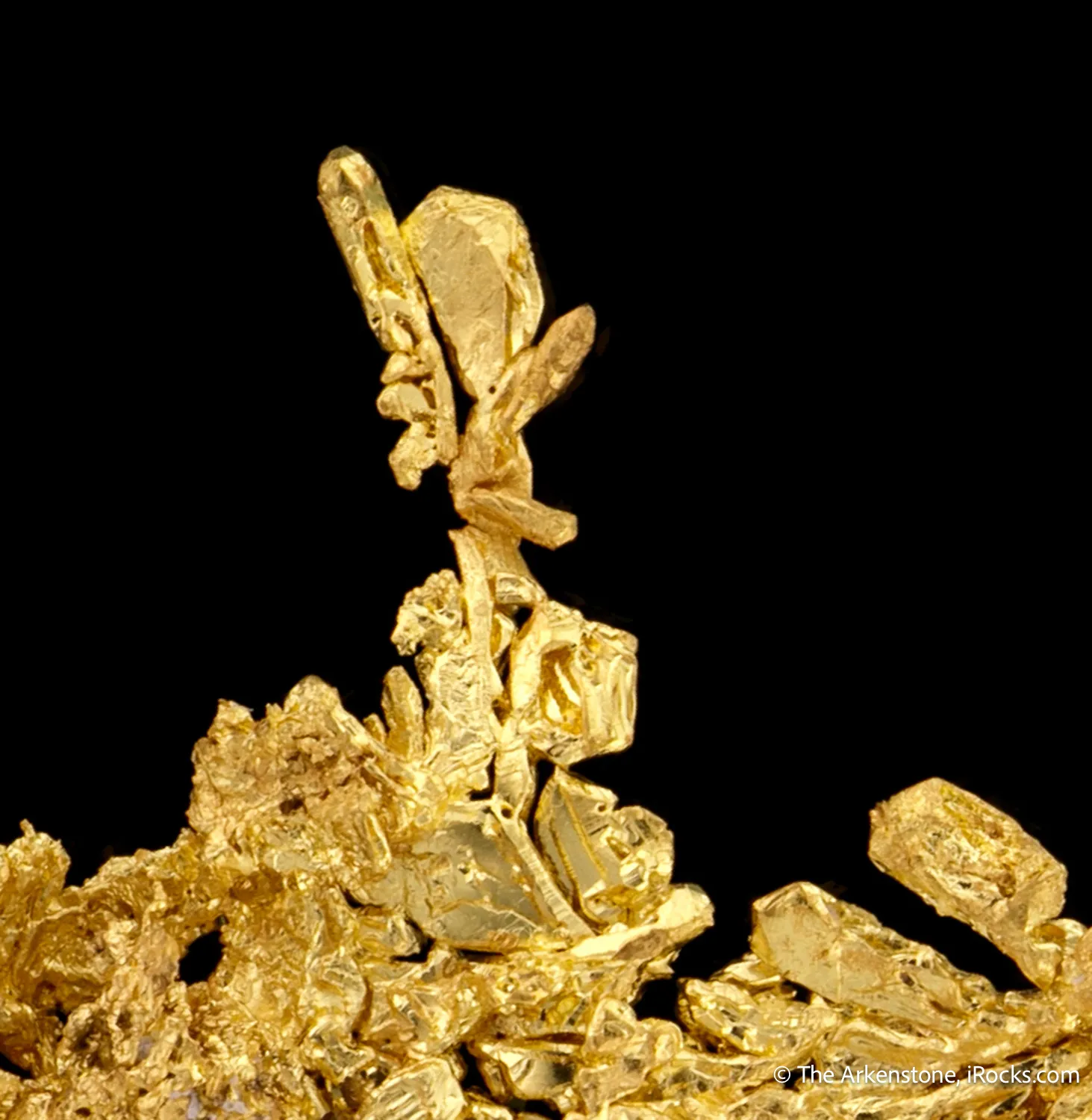 Gold - image 4