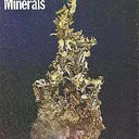 Gold - image 7
