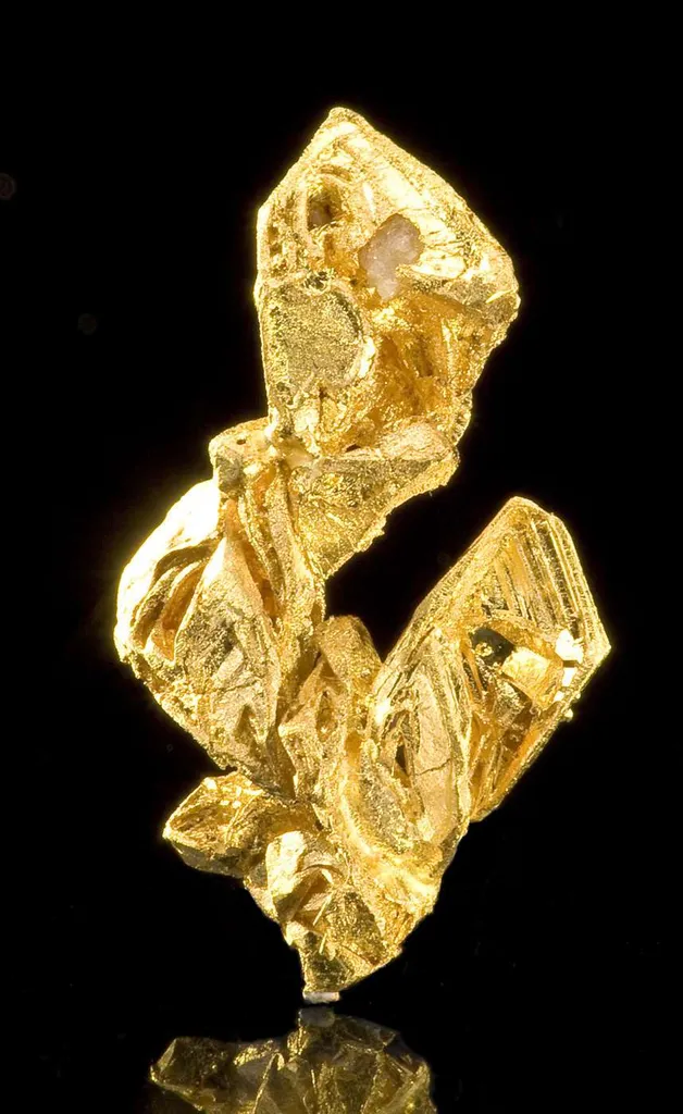 Gold - image 2
