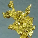 Gold - image 2