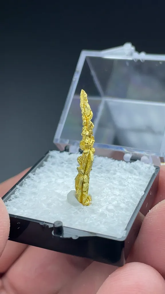 Gold - image 2