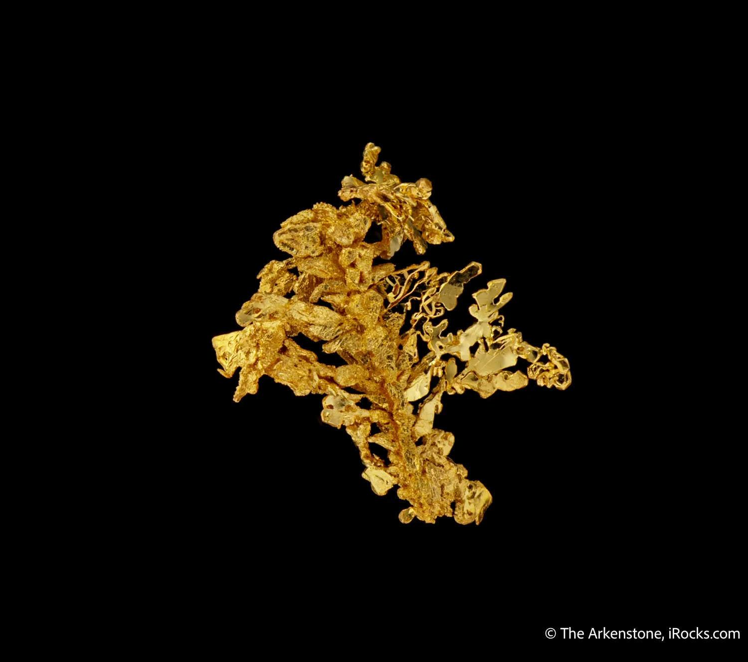 Gold - image 4