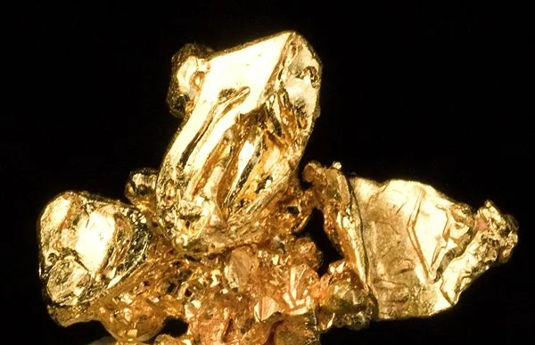 Gold - image 2