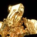 Gold - image 2