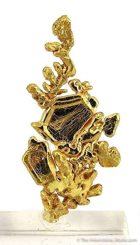 Gold image