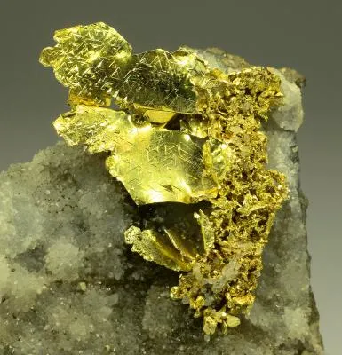 Gold - image 2