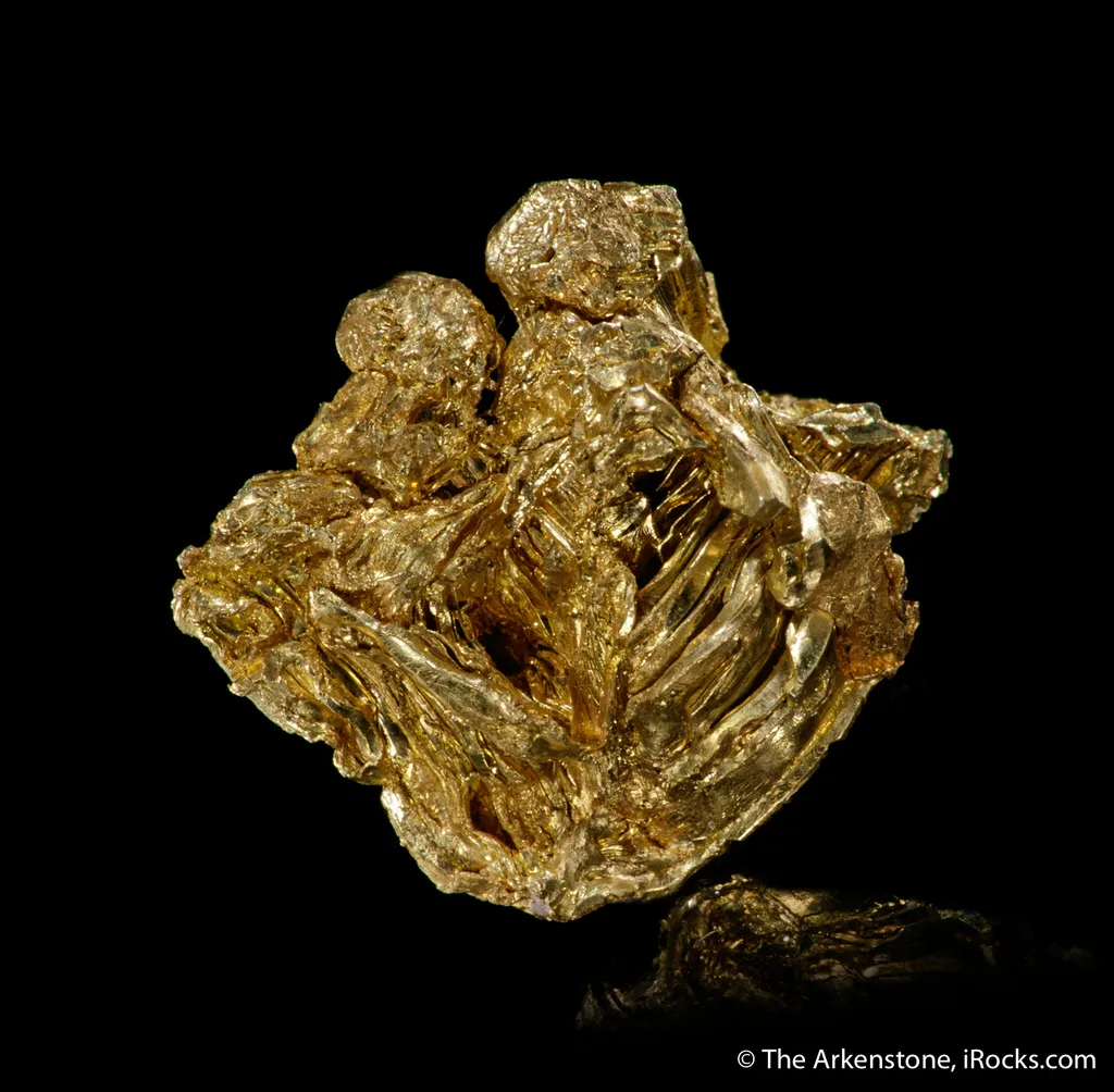 Gold - image 5