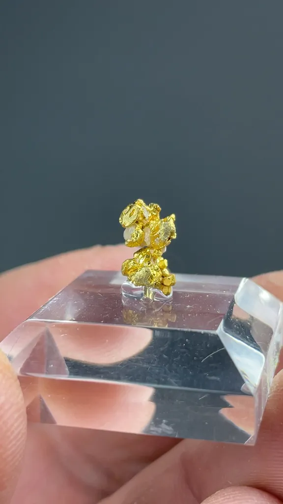 Gold - image 2