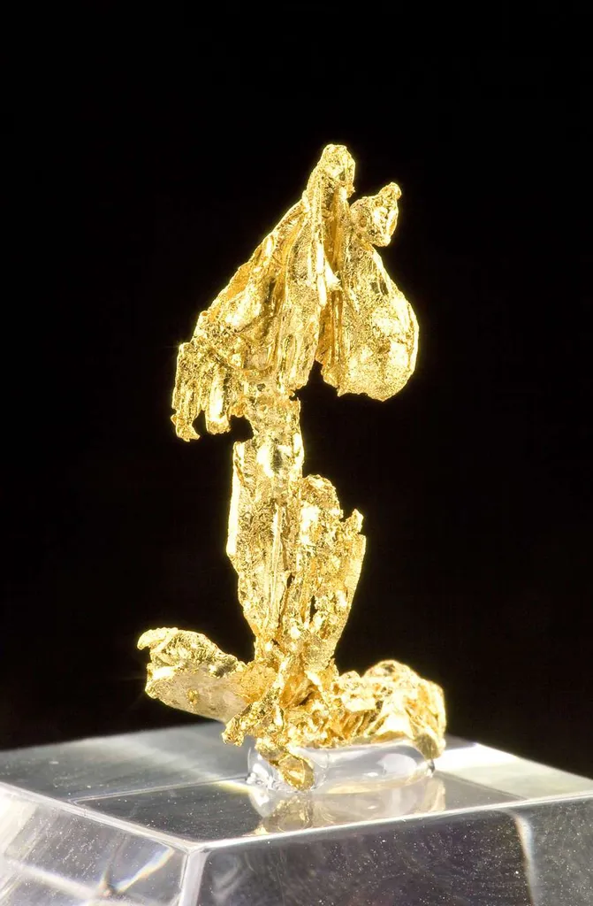 Gold - image 3
