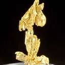 Gold - image 3