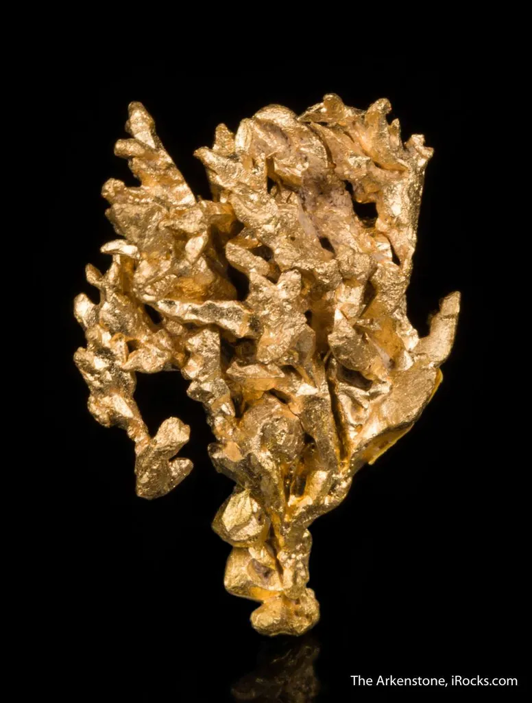 Gold - image 6