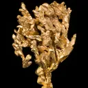 Gold - image 6