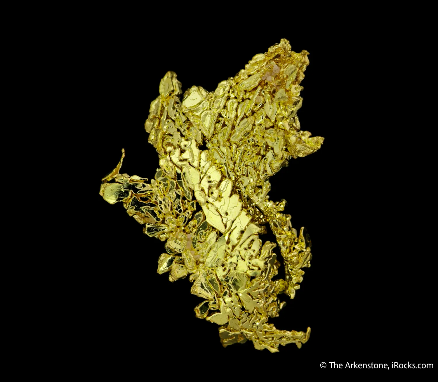 Gold - image 4