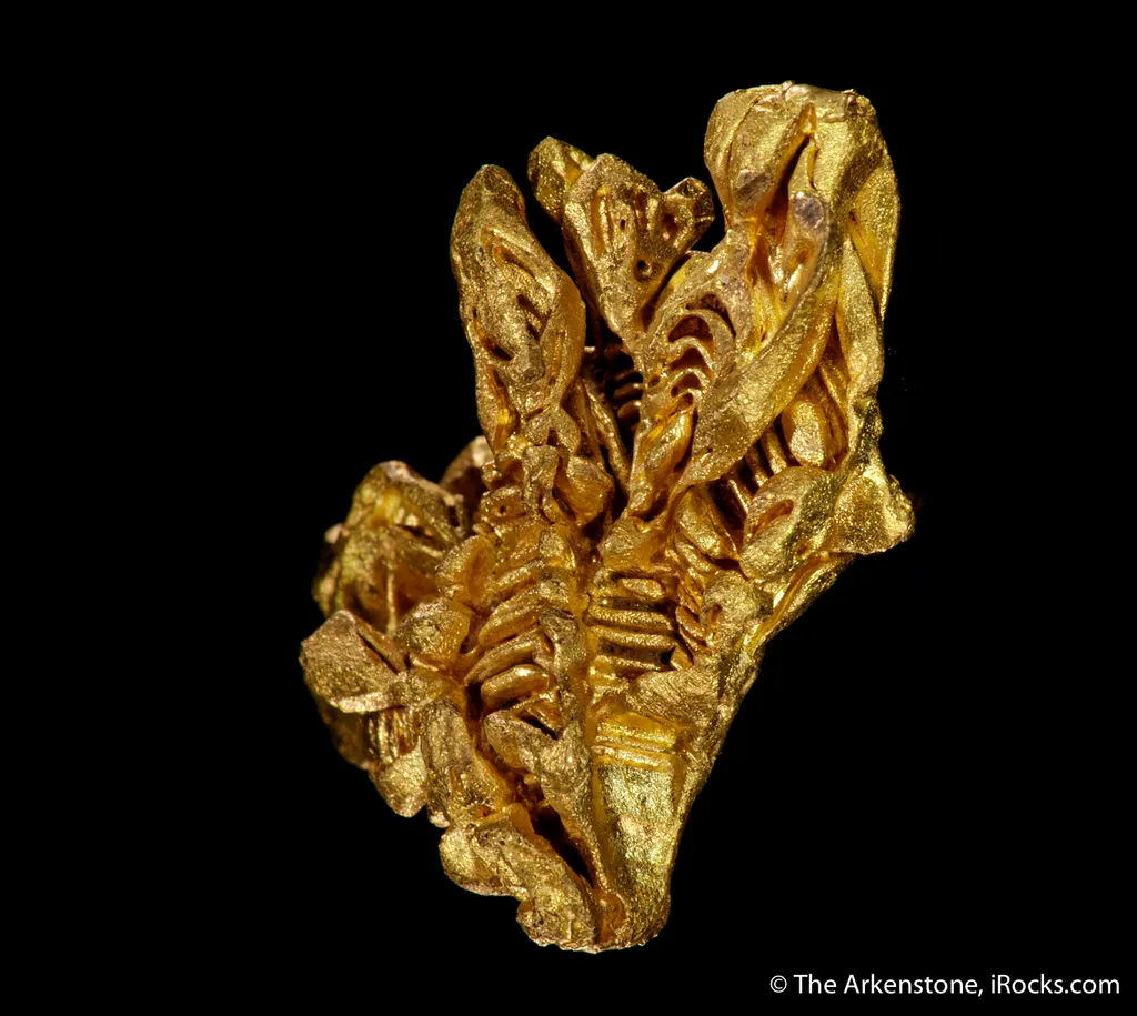 Gold - image 3