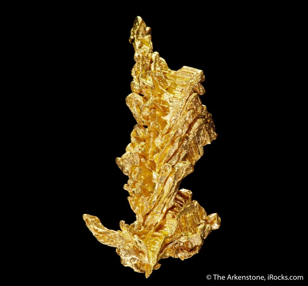 Gold - image 5