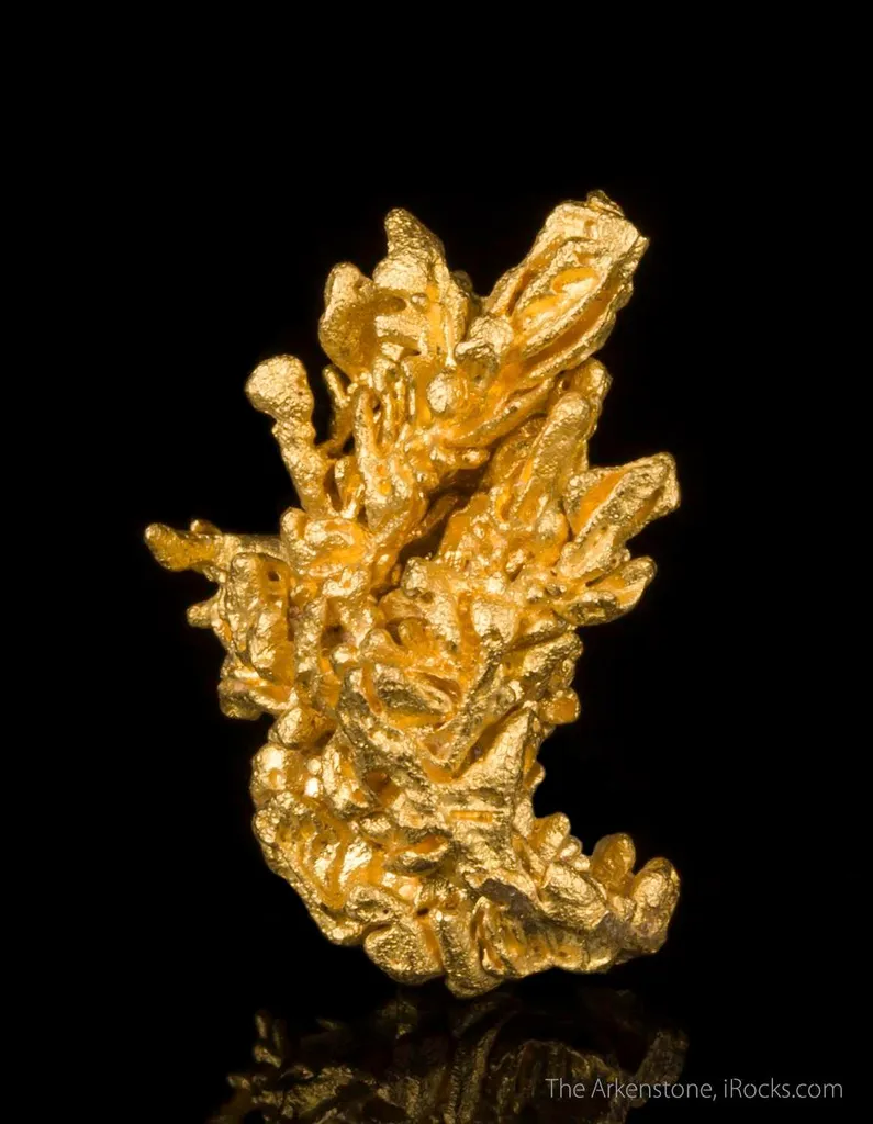 Gold - image 2