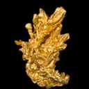 Gold - image 2